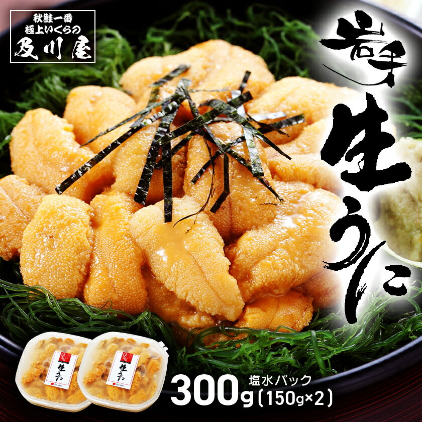 【 10％OFF＆ポイント2倍 】 ウニ 塩水うに 【 岩手県産 生うに 300g 150g 2 】 5月下旬～6月上旬よりご予約順に発送開始予定 うに 塩水ウニ 送料無料 お取り寄せグルメ ムラサキウニ 雲丹 無…