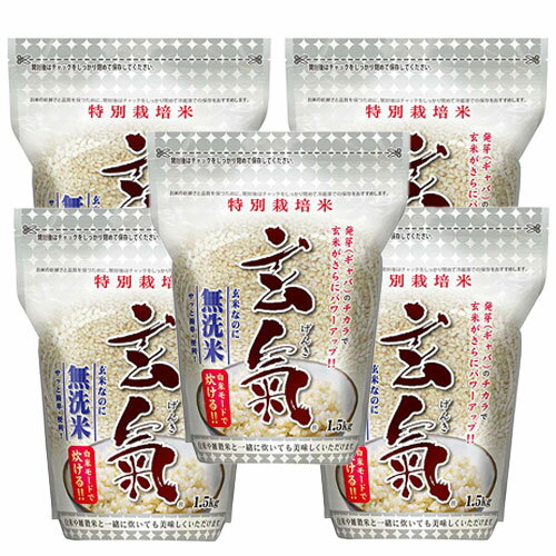 川島米穀店 特別栽培米 玄氣 1.5kg 無農薬 真空パック 無農薬 玄米 無洗米