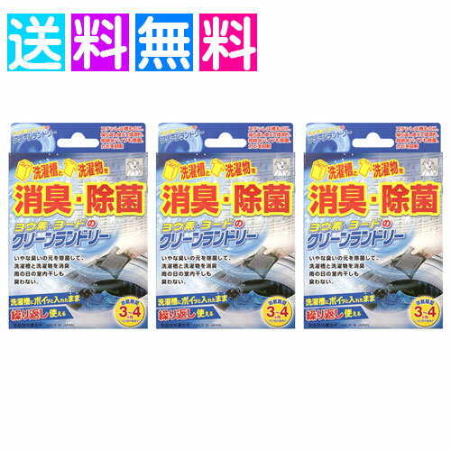 送料無料 洗濯槽 クリーナー ヨウ素のクリーンランドリー 3個組 ヨウ素デクリーンランドリー ヨード マスク 除菌 洗濯 消臭 洗濯槽 ヨ..