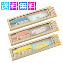 子供用包丁 子ども 包丁 キッズ包丁 料理 クッキング グーテ 105mm