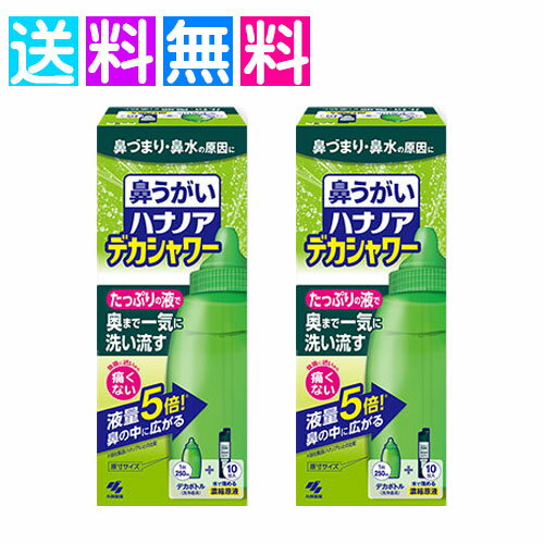 ハナノア デカシャワー 鼻うがい 鼻づまり 鼻水 鼻洗浄 専用洗浄液 小林製薬　2個セット