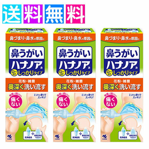 ハナノア 鼻うがい 鼻づまり 鼻水 鼻洗浄 専用洗浄液 小林製薬 500ml　3個セット