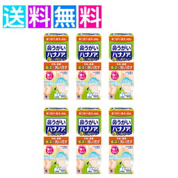 ハナノア 鼻うがい 鼻づまり 鼻水 鼻洗浄 専用洗浄液 小林製薬 500ml　6個セット