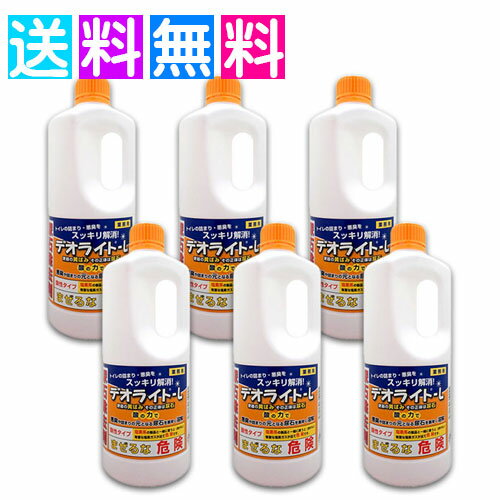 デオライトL 1kg 業務用 尿石除去剤 トイレ 詰まり 悪臭 和協産業 6個