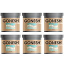 GONESH ガーネッシュ レイン ゲル缶 エアフレッシュナー 6個 車 芳香剤 ジェル カーフレグランス