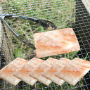 岩塩プレート ヒマラヤ岩塩 5枚 バーベキュー BBQ