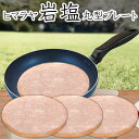 岩塩プレート ヒマラヤ岩塩 2枚 バーベキュー BBQ アウトドア 丸型 20cm
