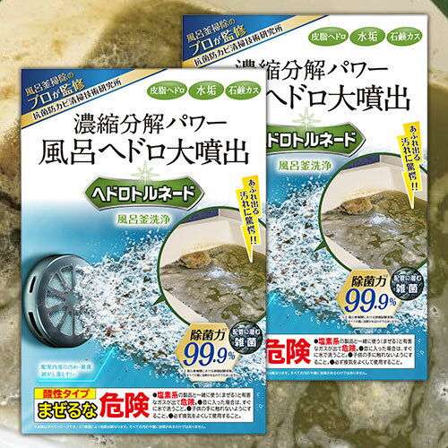 ヘドロトルネード プロ仕様 風呂釜洗浄剤 リベルタ ヘドロトルネード 2個 風呂釜 洗浄 強力