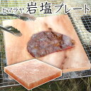 岩塩プレート ヒマラヤ岩塩 1枚 バーベキュー BBQ アウトドア 18×18cm