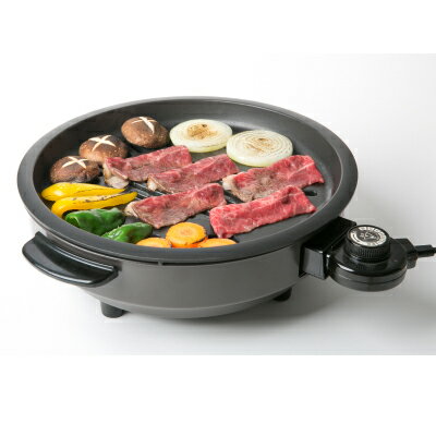 �ñ쥰��顼 �إ륷���ȡ��� KS-2310