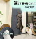 2枚セット 爪研ぎシート 爪とぎシート ペット爪とぎシート 猫爪とぎシート 壁シート 大判 マット 多機能 爪とぎ防止 家具保護 壁紙保護シート 傷防止 お手入...