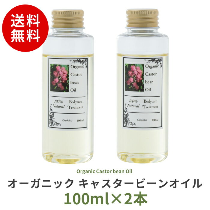 ̵ۥ˥å㥹ӡ󥪥100mlۡ2ƥ ܥǥ ꥢ ޥå ޥƥԡ...
