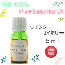 【送料無料】アロマオイル ウィンターセイボリー【5ml】エッセンシャルオイル 精油 100%ピュア 手作り石けん 手作りコスメ アロマテラピー(4)