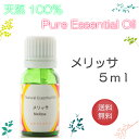 【送料無料】アロマオイル メリッサ【5ml】エッセンシャルオイル 精油 100%ピュア 手作り石けん 手作りコスメ アロマテラピー