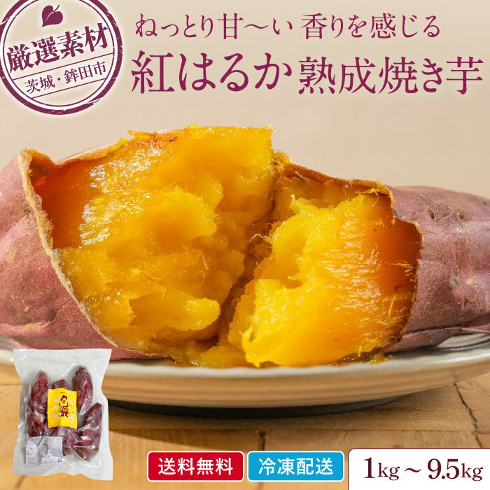 【送料無料】紅はるか 熟成焼き芋 父の日 母の日 ギフト 贈り物 1kg・1.5kg・2kg・4.5kg・9.5kg 冷凍 茨城県産 鉾田産 焼き芋 さつまいも 国産 送料無料 無添加 美味しい スイーツ 食品 長期熟…