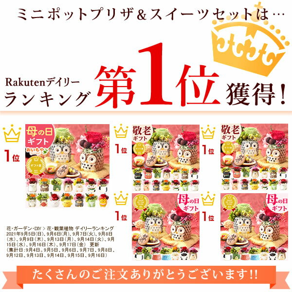 ＼26日まで早割2,980円／ 母の日 早割 プレゼント ははの日 花 実用的 ギフト 動物 アニマル ミニ プリザーブドフラワー フラワーアレンジメント バラ 薔薇 置き物 ふくろう 犬 猫 かわいい おしゃれ どら焼き 送料無料 スイーツ お菓子 和菓子 ギフトセット おいもや