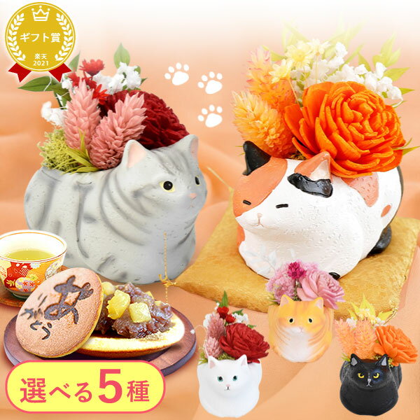 ＼最強翌日配送！／ 誕生日プレゼント ギフト お礼 挨拶 産休 お祝い 花 アレンジメント プリザーブドフラワー フラワー 枯れない花 動物 猫 猫グッズ 猫好き 置物 かわいい おしゃれ 送料無料 プレゼント スイーツ お菓子 和菓子 洋菓子 猫グッズ oimoya