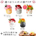 ＼本日エントリー4倍／ 母の日 プレゼント ははの日 花 ギフト プリザーブドフラワー フラワーアレンジメント 薔薇 バラ あじさい 猫 ネコ 猫グッズ 猫好き 枯れない花 インテリア おしゃれ 可愛い 送料無料 スイーツ お菓子 和菓子 ギフトセット おいもや 3