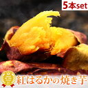 送料無料 紅はるかの焼き芋5本セット！TVで話題さつま芋使用 焼きいも おいもやの国産さつまいもの焼きイモ！送料込 焼き芋 冷やし焼き芋 やきいも さつまいも べにはるか 紅はるか おいも専門店 送料込み 自分用 人気ランキング メディア あす楽 oimoya