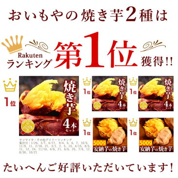 送料無料！国産 選べる 焼き芋 紅はるかの焼きいも 安納芋のやきいも スイーツ 送料込 冷凍焼き芋 軽減税率 対象 【大入り500g/AB】