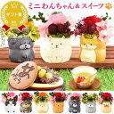 \最強翌日配送!/ 誕生日 プレゼント 花 ギフト プリザーブドフラワー 犬 犬好き フラワーアレンジメント かわいい おしゃれ ペット バラ 薔薇 一輪 アニ...