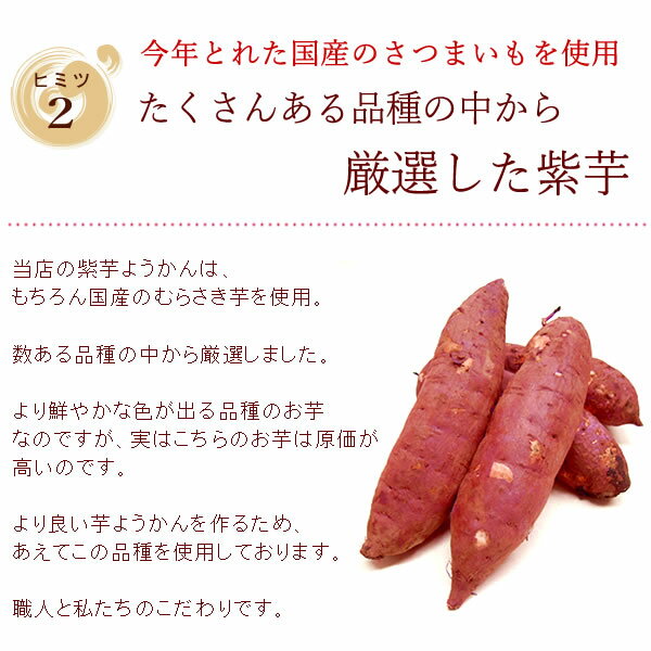 通販 >紫芋ようかん 通販 >紫芋ようかん