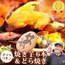 送料無料 おいもや社長誕生日♪ 夢の焼き芋 福袋 紅はるか 紅あずま シルクスイート 6本 福袋 人 ...