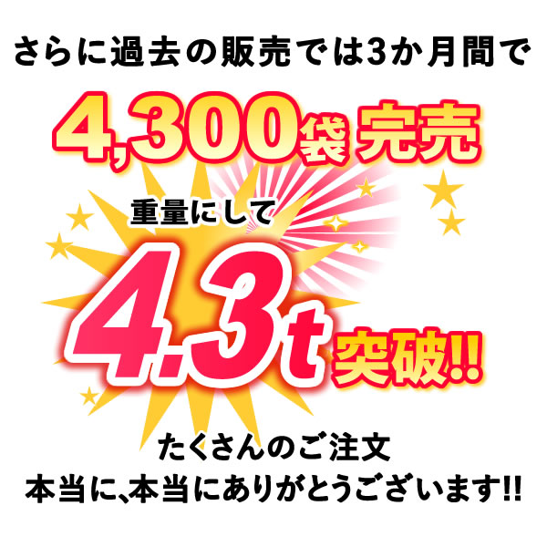 ＼最強翌日配送！／ 冷凍いちご 500g 1kg 500グラム 1キロ 国産 冷凍フルーツ 苺 イチゴ 静岡産 紅ほっぺ ひんやりストロベリー 冷凍 フルーツ スイーツ 冷凍苺 いちご アイス デザート スムージー 人気 おすすめ おやつ 大容量 おいもや ラッピング不可 oimoya-10000009 おいもや サンプル画像3