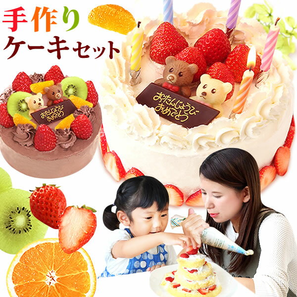 デコレーションケーキ バースデーケーキ 手作りケーキ 5号 子供とママで手作り デコレーションケーキ 誕生日ケーキ ケーキキット 子供 ギフト プレゼント oimoya