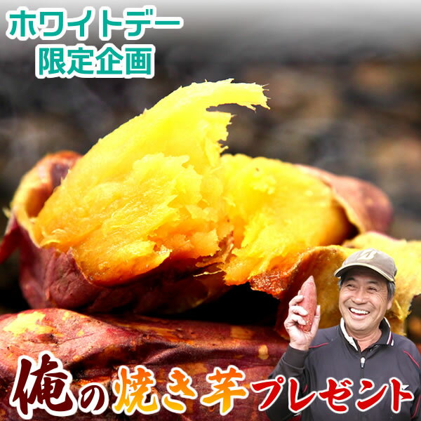 【48時間限定★ホワイトデー企画】焼き芋1円！蜜たっぷり♪おいもや紅はるかの焼き芋！（別途送料必要）※お1人様1袋限り