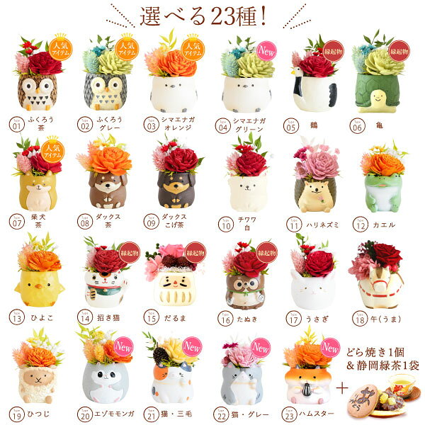 ＼緊急配布★300円クーポン／ 誕生日プレゼント ギフト 花 人気 贈り物 プリザーブドフラワー アレンジメント 動物 ふくろう シマエナガ 犬 スイーツ お菓子 和菓子 花とスイーツ 手作り ペット 小さい 置物 雑貨 枯れない花 送料無料 敬老の日 おいもや oimoya-10003201 おいもや サンプル画像3