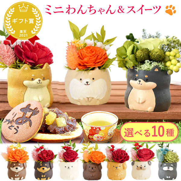 ＼最強翌日配送！／ 誕生日 プレゼント ギフト 人気 花 お祝い 枯れない花 一輪 犬 フラワーアレンジメント バラ ス…