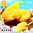 \最強翌日配送!/ 送料込み! 人気焼き芋6袋セット 紅はるかの焼き芋 個包装 TVで話題 おいもや 人気さつまいも 国産 焼き芋 本格やきいも 焼きいも べに...
