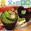\まもなく値段上がります/ 父の日 プレゼント ギフト 早割 2025 芋ほりティラミス 芋掘り ティラミス 2種 コーヒー 抹茶 チョコレート 体験型スイーツ...