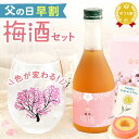 \今の早割25日まで!/ 父の日 プレゼント ギフト 早割 2025 花 梅酒 お酒 贈り物 お酒好き 酒豪 ペア セット ミニボトル 酒 グラス 桜 300m...