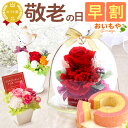 \早割!/ 敬老の日 プレゼント ギフト 早割 花 プリザーブドフラワー プリザ 薔薇 バラ 猫 ねこ かわいい おしゃれ 枯れない花 フラワーアレンジメント インテリア バウムクーヘン 送料無料 スイーツ お菓子 洋菓子 メッセージカード おいもや
