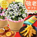 遅れてごめんね 敬老の日 プレゼント ギフト 花 和菓子 鉢植え 生花 花鉢 竜胆 リンドウ どら焼き ようかん 干し芋 バウムクーヘン 送料無料 スイーツ お菓子 和菓子 洋菓子 メッセージカード 付き あす楽 おいもや