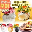 \今夜0時に値段上がります/ 敬老の日 プレゼント ギフト 早割 花 ギフト フラワーアレンジメント フラワーギフトフラワー プリザーブドフラワー 枯れない花 動物 猫 猫グッズ 猫好き 置物 おしゃれ かわいい 送料無料 スイーツ お菓子 和菓子 メッセージカード おいもや