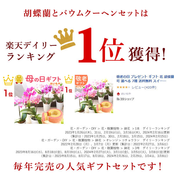 ＼今の早割9月1日まで！／ 敬老の日 プレゼント ギフト 花 鉢植え 生花 花鉢 胡蝶蘭 コチョウラン バウムクーヘン 送料無料 スイーツ お菓子 おいもや