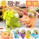 \早割!/ 敬老の日 プレゼント ギフト 早割 花 アレンジメント フラワー プリザーブドフラワー 枯れない花 動物 恐竜 グッズ ティラノサウルス 置物 おしゃれ かわいい 送料無料 スイーツ お菓子 洋菓子 メッセージカード おいもや