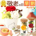 \早割&限定クーポン/ 敬老の日 プレゼント ギフト 早割 花 プリザーブドフラワー ムーミン グッズ ミイ ミィ ニョロニョロ 送料無料 スイーツ お菓子 洋菓子 メッセージカード おいもや
