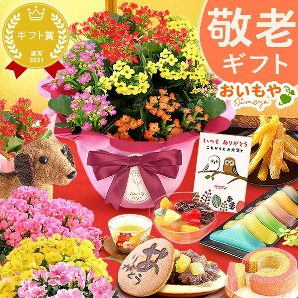 桜バウムクーヘン