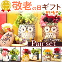 \まだ間に合う!/ 敬老の日 プレゼント ギフト 花 ギフト アレンジメント フラワー プリザーブドフラワー 枯れない花 動物 ふくろう 犬 置物 かわいい おしゃれ 送料無料 スイーツ お菓子 和菓子 メッセージカード おいもや