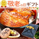 \まだ間に合う!/ 敬老の日 プレゼント ギフト 鰻 うなぎ 蒲焼き かば焼き 蒲やき 国産 静岡 真空パック 冷凍 グルメ お取り寄せ 個包装 カット ウナギ...