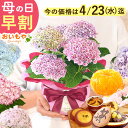 【今の早割4/23まで!】 母の日 早割 プレゼント 花 生花 ギフト 鉢植え 花鉢 鉢花 あじさい アジサイ 紫陽花 4号 選べる 9種 どら焼き スイートポ...
