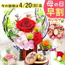 【今の早割4/20まで!】 母の日 早割 プレゼント 花 ギフト プリザーブドフラワー ガラスドーム ミニ インテリア リース 置き物 猫 バラ 一輪 花束 シ...