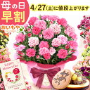 ＼4月27日お値段上がります／ 母の日 早割 プレゼント お花 2024 ギフト 生花 鉢植え 希少 鉢花 カーネーション 5号 どら焼き おしゃれ かわいい 送料無料 スイーツ お菓子 和菓子 一人暮らし クーポン 楽天ランキング1位 セット おいもや