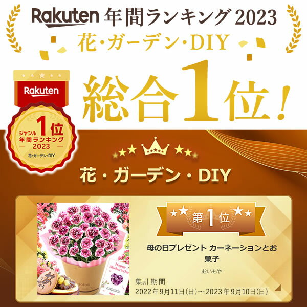 ＼本日エントリー4倍／ 母の日 プレゼント お花 2024 ギフト 生花 鉢植え 希少 鉢花 カーネーション 5号 どら焼き おしゃれ かわいい 送料無料 スイーツ お菓子 和菓子 一人暮らし クーポン 楽天ランキング1位 セット おいもや