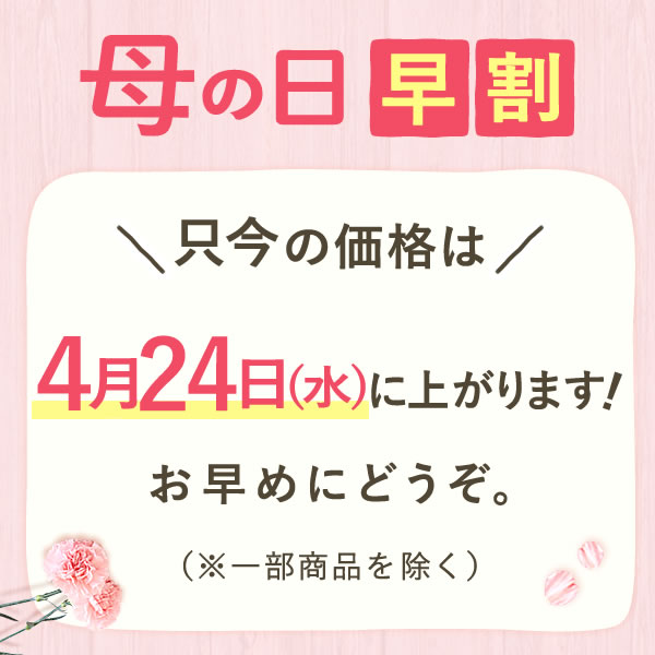 ＼4月24日お値段上がります／ 母の日 早割 プレゼント お花 2024 ギフト 生花 鉢植え 希少 鉢花 カーネーション 5号 どら焼き おしゃれ かわいい 送料無料 スイーツ お菓子 和菓子 一人暮らし クーポン 楽天ランキング1位 セット おいもや