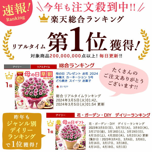 ＼23:59まで★エントリー4倍／ 母の日 プレゼント お花 2024 ギフト 生花 鉢植え 希少 鉢花 カーネーション 5号 どら焼き おしゃれ かわいい 送料無料 スイーツ お菓子 和菓子 一人暮らし クーポン 楽天ランキング1位 セット おいもや